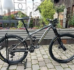Bergamont Encore 8.0 Gr. S mullet 29"/ 27,5"
