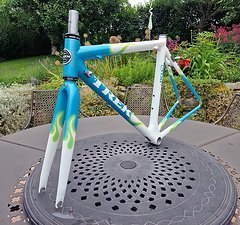 Trek Madone 5.9 WSL ProjectONE