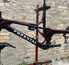 Forestal Cyon XL