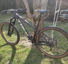 Trek Roscoe 29" Trail Hardtail 2023 (Größe L)