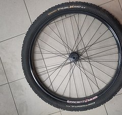 Pace TL 28 27.5"