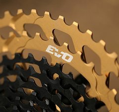 TRP EVO CS-M9050-12 10-52 Silber/Gold Zahnkranz-Kassette Neu