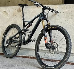 Rotwild R.X2 Trailbike Carbon | 29 Zoll | Größe XL | Top-Zustand