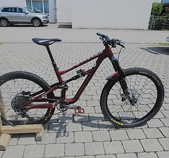 Specialized Status