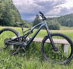 Specialized STUMPJUMPER EVO EXPERT - 29" Carbon Mountainbike -
