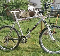 Giant Terrago 26" Retro Bike