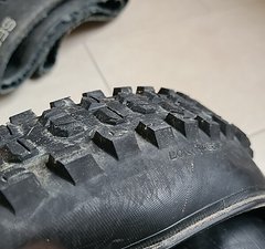 Bontrager XR5 Team Issue 29x2.5
