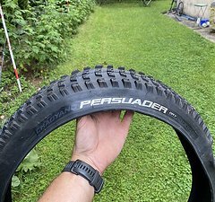Chaoyang Persuader