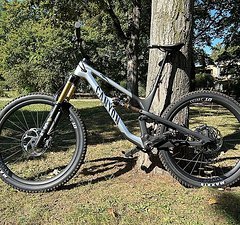 Canyon Spectral CFR Neu