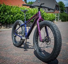 Salsa Cycles Beargrease Carbon X7