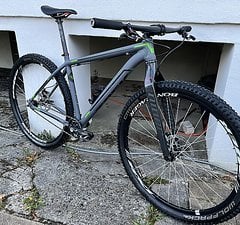 Trek Rig Singlespeed Frameset inkl Niner Gabel und LRS