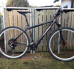 Salsa Cycles Mamasita