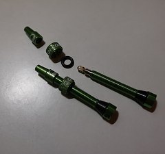 Cushcore Tubelessventile