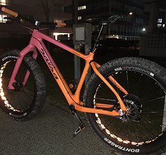 Salsa Cycles Beargrease Carbon Rahmen Gabel Set L orange pink