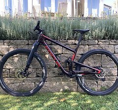 Focus, O1E Custom - Preisupdate! Down Country, Gr. L