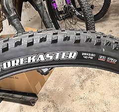Maxxis Forekaster 29 x 2,6 Exo TR