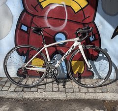 Specialized Amira Sport, Gr. 51, Carbon