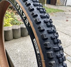 Onza Reifen Ibex 27,5 x 2,40 TRC 60 TPI | Soft Compound 50 | Tubeless