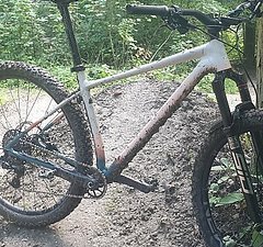 Specialized CHISEL LTD "Earth" Rahmen 29", L, 1/2 Preis!