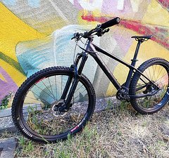 Liteville H-3, S, XTR, DT Swiss, Rock Shox Pike,Mullet, Pivot