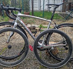 Specialized Roubaix SL4 Expert, 54, Rennrad, Dura Ace, Ultegra