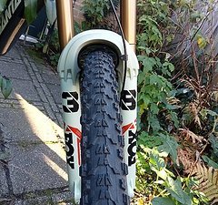 Fox Racing Shox 38 Factory Pistachio 29"