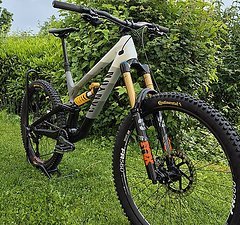 Canyon Torque CLLCTV XL Mullet Custom