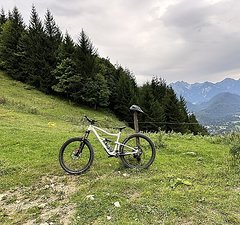 Ibis Cycles Ripley V4S - Drywall - Perfekter Zustand - XL - Frameset