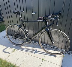 STORCK Fascenario F3 Comp Größe L