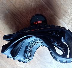 Maxxis Assegai 29 x 2.5 Exo MaxxTerra 3C
