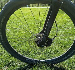 STORCK MTB Storck Rebel Race 1 L 47 cm 29 Zoll Carbon Hardtail