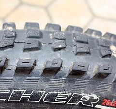 Specialized Butcher SX 2.3 26 Zoll Reifen
