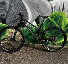 YT Industries Izzo