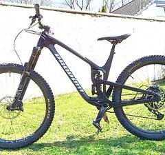 Propain Tyee CF 29" Größe L