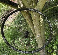 Newmen Evolution SL A 30 Fade 29" Microspline