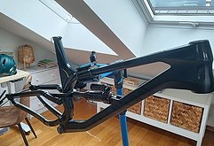 Canyon Torque CF Rahmenset XL