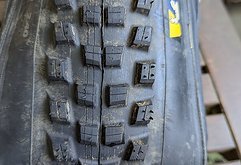 Michelin Wild AM² und Force AM² 29x2.4