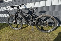 Canyon Strive On Underdog