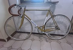 Viva „Pista“ singlespeed