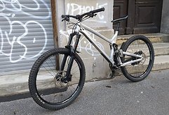 Propain Spindrift in Alu poliert RAW– Größe XL – Shigura-Umbau