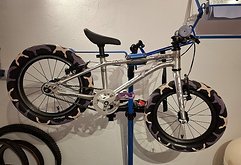 Early Rider Seeker 16