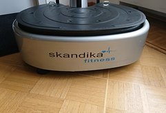 Vibrationsplatte Von Skandika Fitness Studio Vibration Plate Pro 700