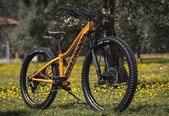 Dartmoor Kinder MTB Sparrow Junior Mullet 26"/24" | Glossy Copper Orange
