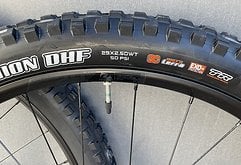 Maxxis Minion DHF, 29x2.50WT, EXO+ TR, 3C MaxxTerra, NEU
