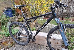 Steppenwolf Tundra FS