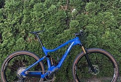 Quantor Brennstoff Carbon Racefully Gr. L