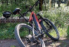 Rotwild RX+