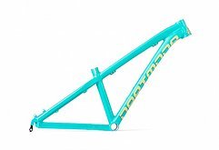 Dartmoor Hornet Junior 24" | Matt Mint/Banana Rahmen