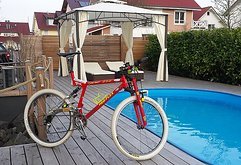 PRO Flex 856 (MTB von ehemals deutschem Meister!)