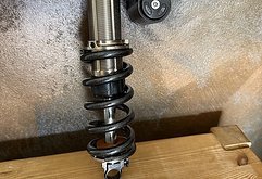 EXT Progressiver E-Storia Coil Dämpfer 2 x Federn